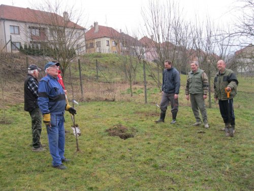 Zahrádkáři - sázení ovocných stromů ve školní zahradě - 15.3.2015
